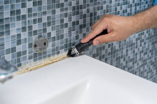 Best Bathroom Mold Remediation in La Grange, TX